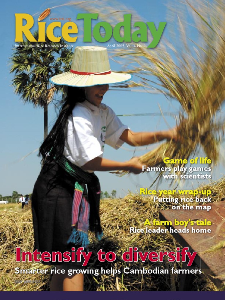 RiceToday Vol. 4, No. 1 | PDF | International Rice Research Institute ...
