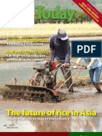 Download RiceToday Vol 5 No 3 by Rice Today SN34620294 doc pdf