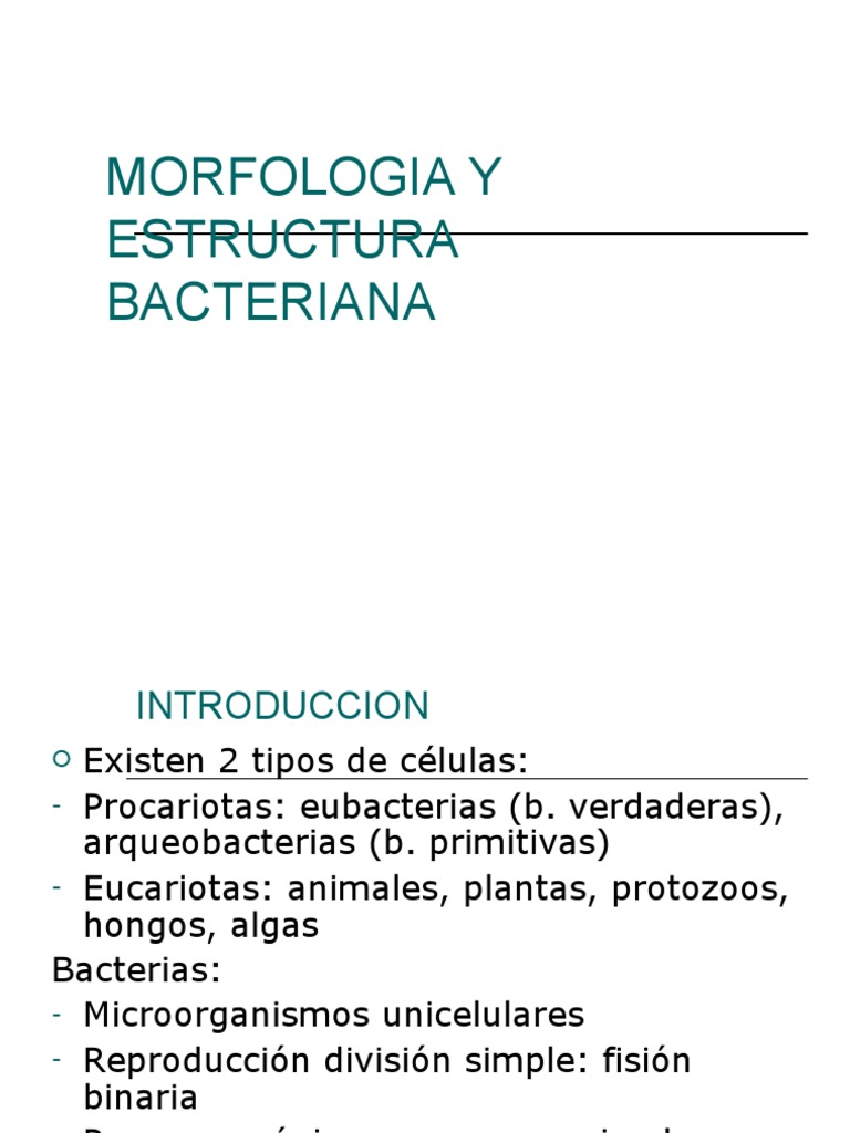 Morfología y Estructura Bacteriana | PDF | Las bacterias | Bacterias ...