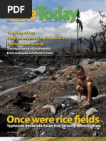 Download RiceToday Vol 6 No 1 by Rice Today SN34620816 doc pdf