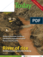Download RiceToday Vol 6 No 2 by Rice Today SN34620863 doc pdf