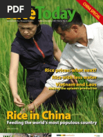 Download Rice Today Vol 6 No 4 by Rice Today SN34621863 doc pdf