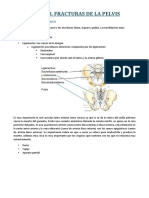 Fracturas de pelvis.pdf