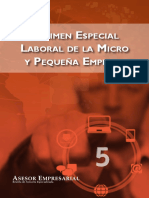 pequeña empresa.pdf