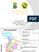 10 Program UPTD Puskesmas Loji