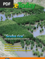 Download Rice Today Vol 8 No 2 by Rice Today SN34624016 doc pdf