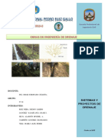 sistemas y proyectos de drenaje.pdf
