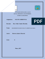 Requerimientos Básicos - Salud Ambiental PDF