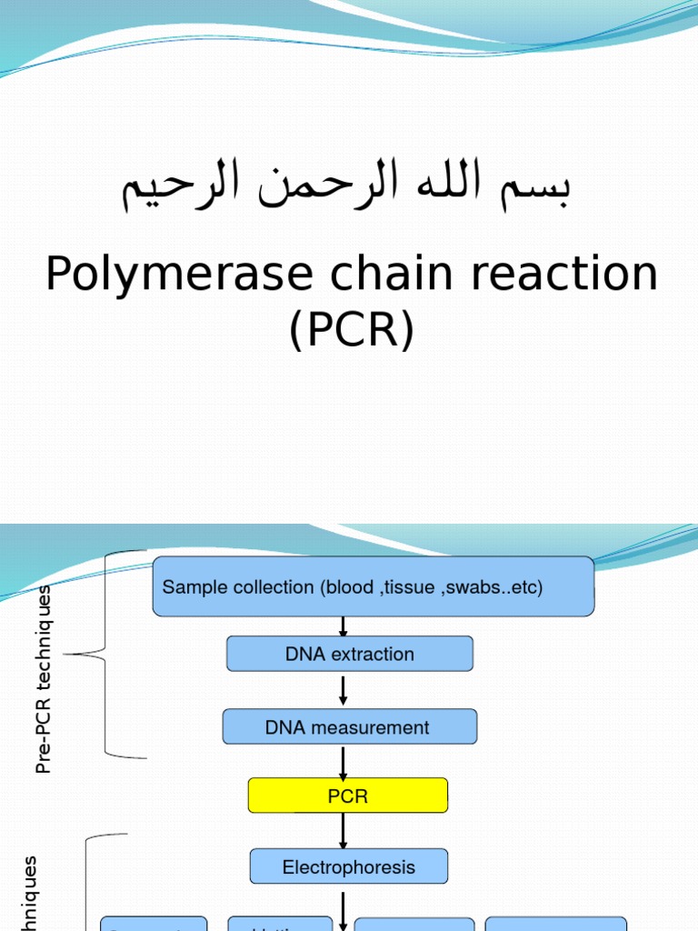 PCR Techniques and Applications Guide | PDF | Polymerase Chain Reaction ...