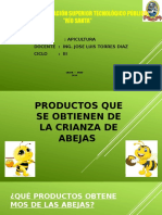 Diapositivas de Abejas - Productos