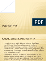 Pyrrophyta