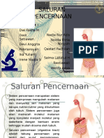 Sistem Pencernaan - PPT Kirim