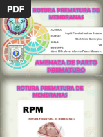 exposicion quirurgica