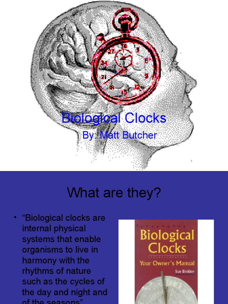 Biological Clocks By Matt Butcher PDF Circadian Rhythm Physiology