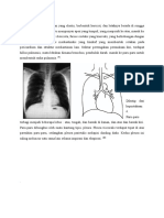 Referat Pneumonia (Anatom0 Dan Definisi)