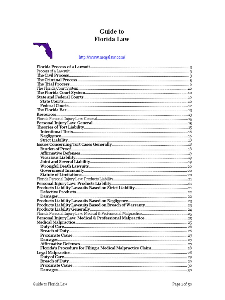 A Comprehensive Guide to Florida Law Covering Civil and Criminal