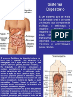 Doenças Do Sistema Digestivo