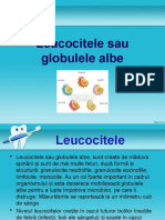 Leucocitele Powerpoint