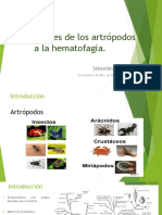 Adaptaciones de Los Artrópodos A La Hematofagia
