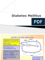 Diabetes Mellitus Expo