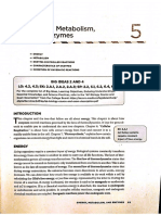 Energy Metabolism and Enzymes