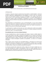 Guía de fitopatología