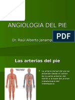 Angiologia - Histologia Del Pie