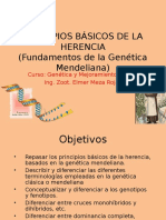 287251365 Principios de La Genetica