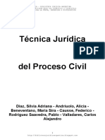 Técnica Jurídica Del Proceso Civil