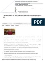 A Milagrosa Planta Que Trata Psoríase, Eczema, Dermatite e Outras Doenças de Pele! - Cura Pela Natureza