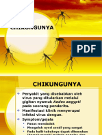Penyuluhan Chikungunya
