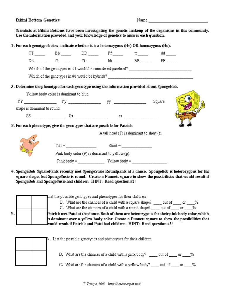 worksheet Bikini Bottom Genetics Worksheet bikini bottom genetics answers docx dominance genotype