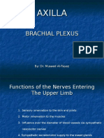 5-BrachialPlexus