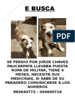 Se Busca