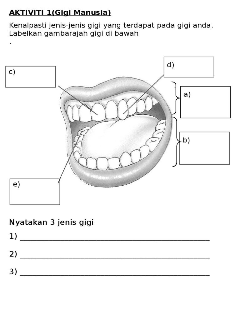Dst Tahun 3 Kegigian Manusia Pdf