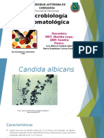 Candida albicans: Características, factores de virulencia y tratamiento