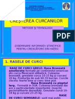 8257 - cresterea curcanilor1