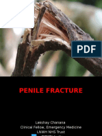 Penile Fracture