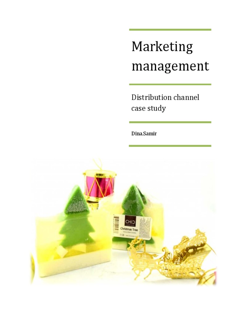 Distribution Channel Case Study PDF Target Audience Brand