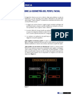 Geometria Del Perfil Facial