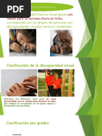 Clasificación de La Discapacidad Visual