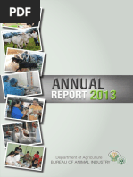 BAI Annual Report 2013