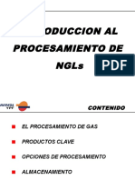 Procesamiento Gas