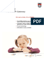 dimex_e.pdf