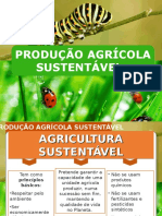 Produção Agrícola Sustentável