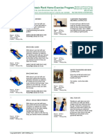 Diastasis-Recti-Exercise-Program.pdf