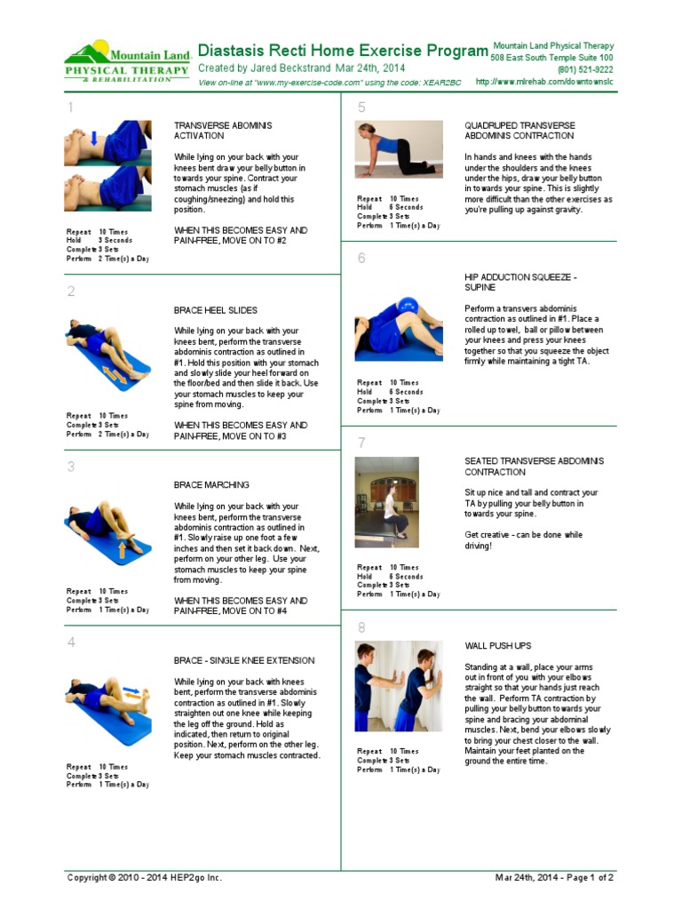 Diastasis Recti Exercise Program PDF | PDF | Abdomen | Primate Anatomy