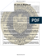 Codigo Sentencias Megacity PDF