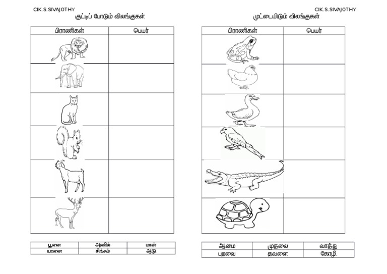 Haiwan Bertelur Beranak Pdf
