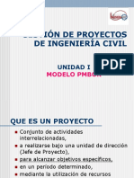 Modelo PMBOK PDF